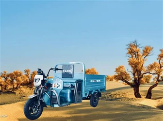 Τρίτροχο φορτηγό παραλαβής φορτίου